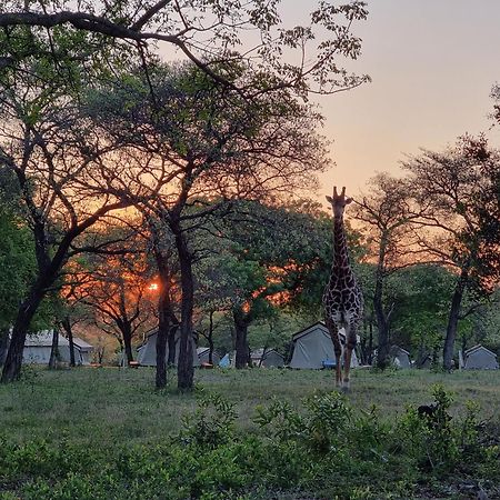 Unyati Safari Lodge Hectorspruit Eksteriør billede