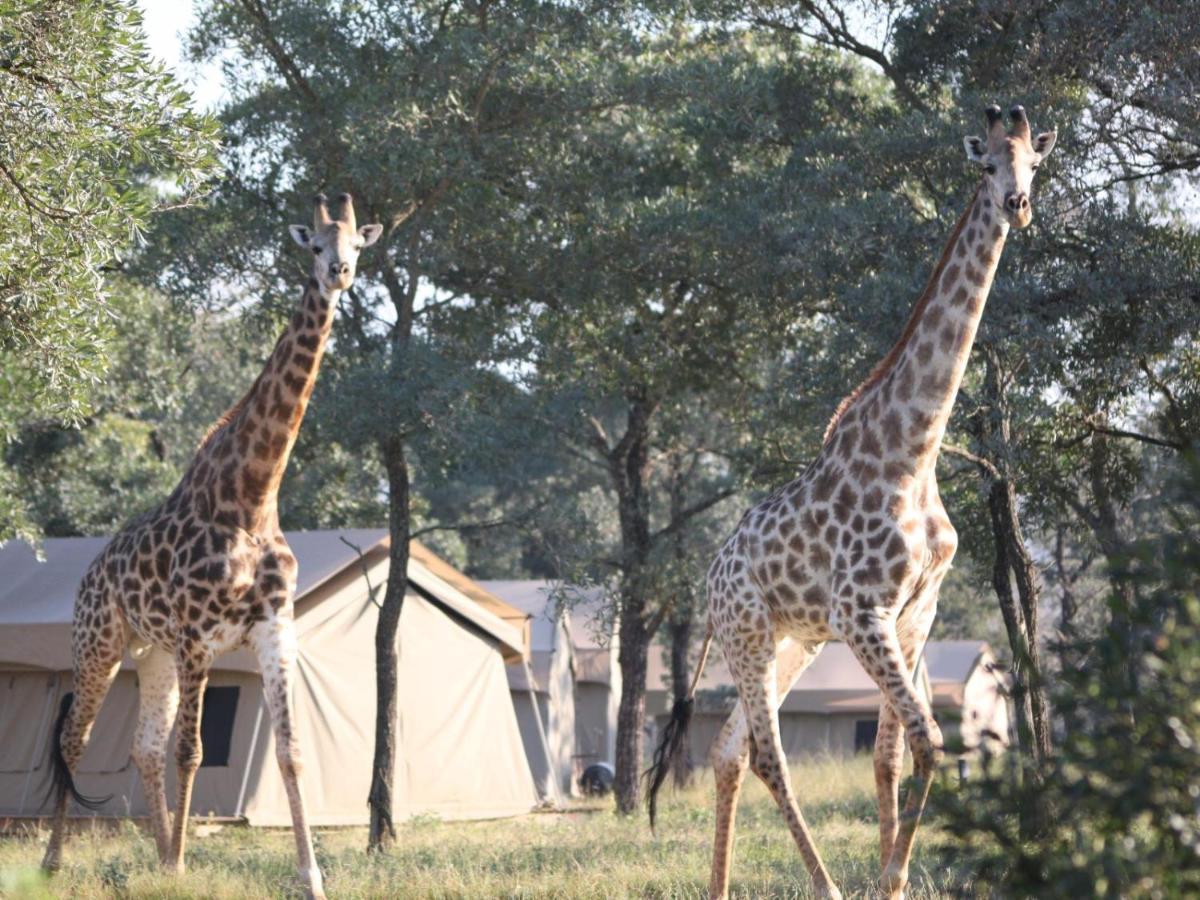 Unyati Safari Lodge Hectorspruit Eksteriør billede