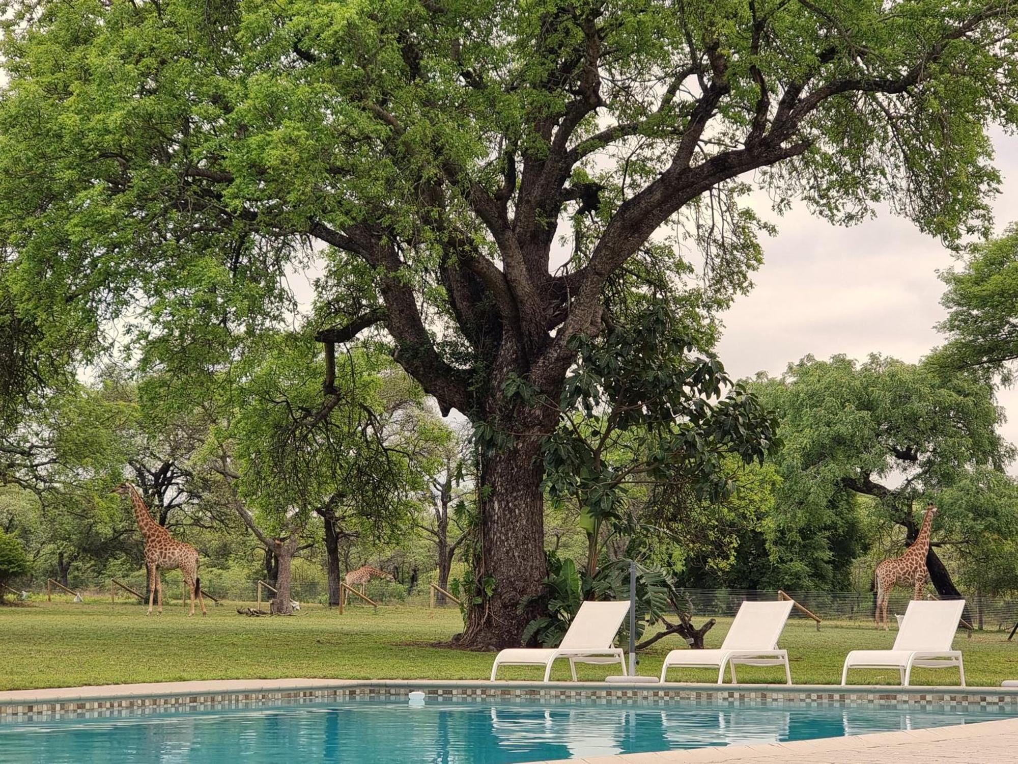 Unyati Safari Lodge Hectorspruit Eksteriør billede